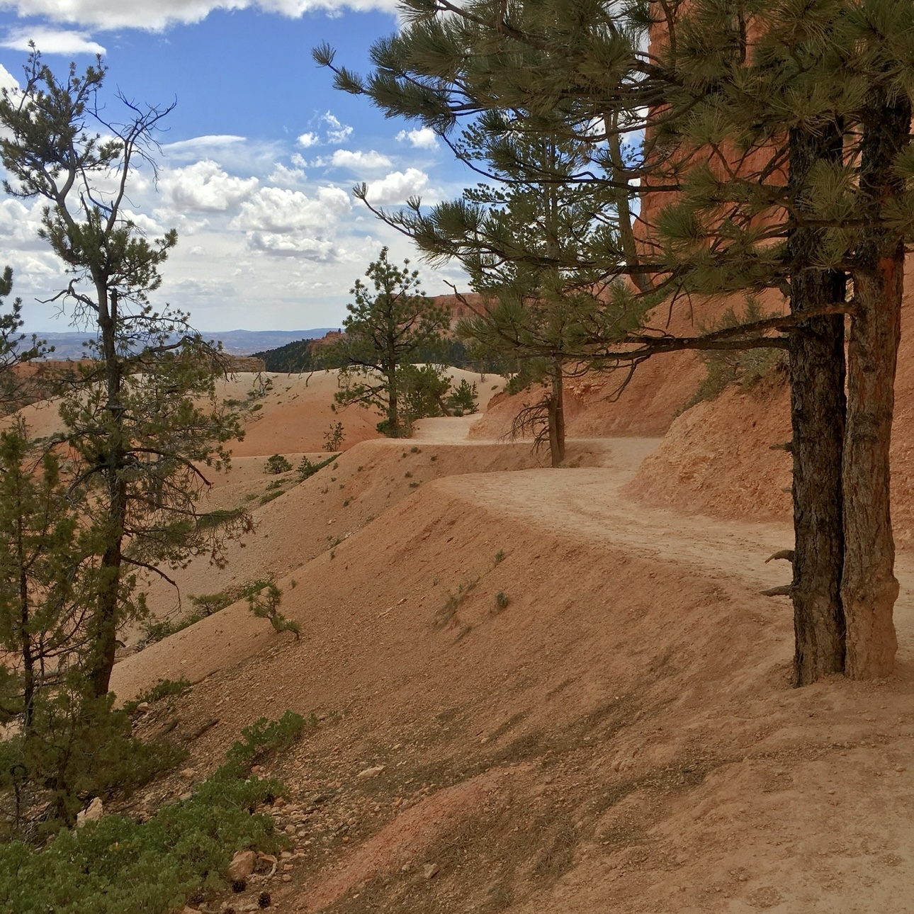 Bryce Canyon Trail