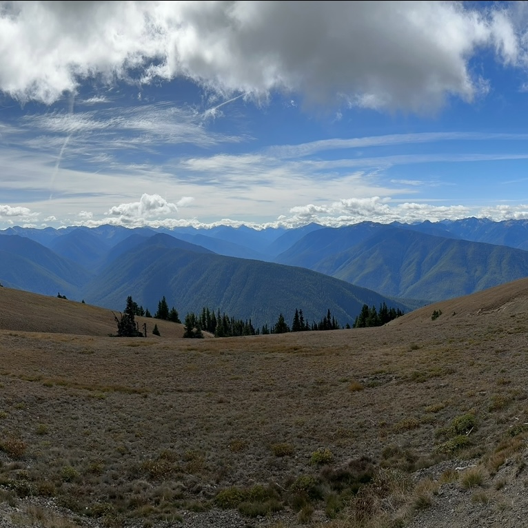 Olympic National Park