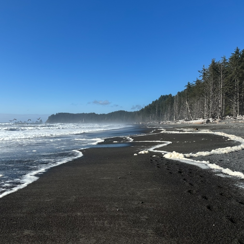 Washington State Beachside