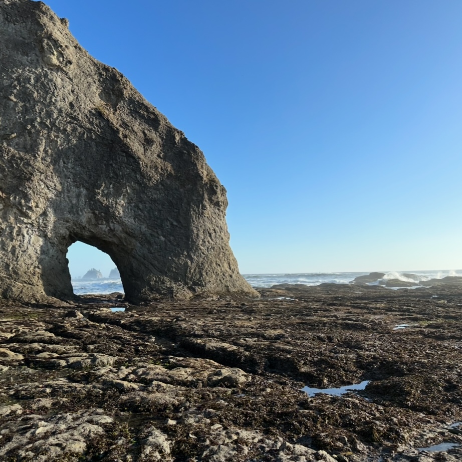 Washington State Beach Rock