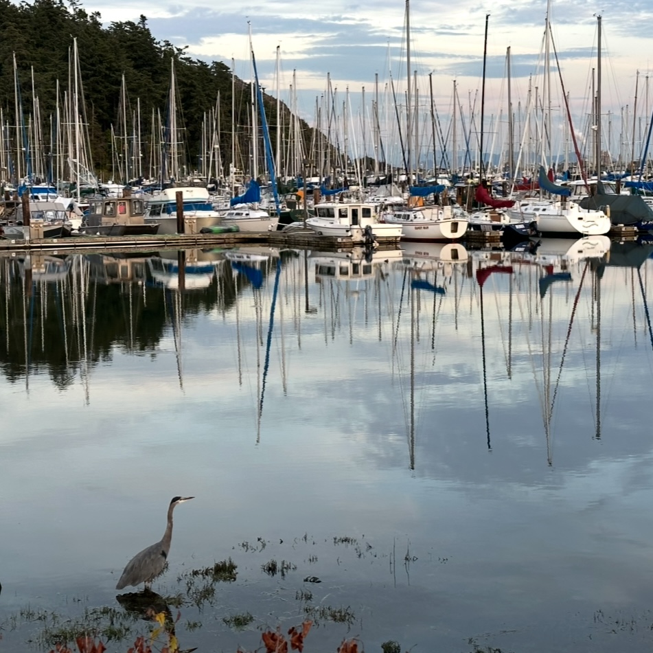 Anacortes, WA