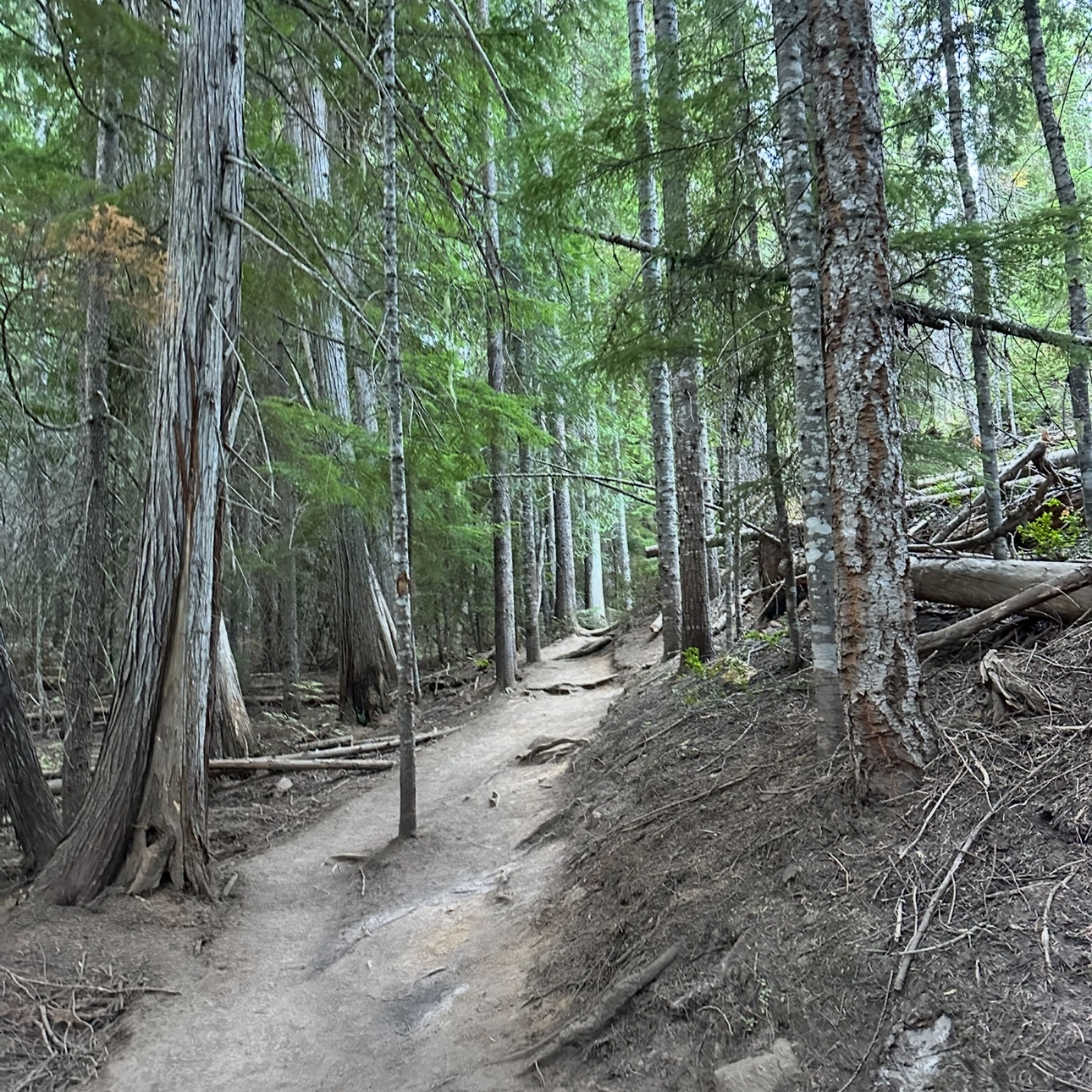 Washington State Trail